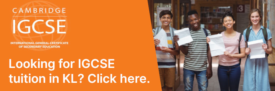 IGCSE Support